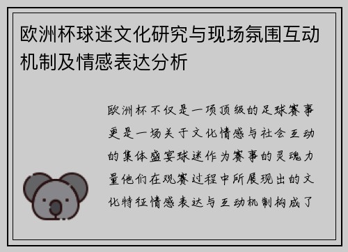 欧洲杯球迷文化研究与现场氛围互动机制及情感表达分析